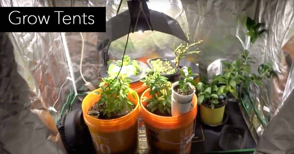 Choosing an Indoor Grow Tent